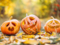 La zucca di Halloween: Un regalo divertente e significativo per i bambini