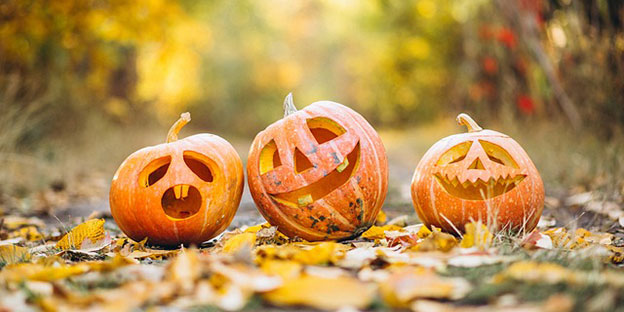 La zucca di Halloween: Un regalo divertente e significativo per i bambini